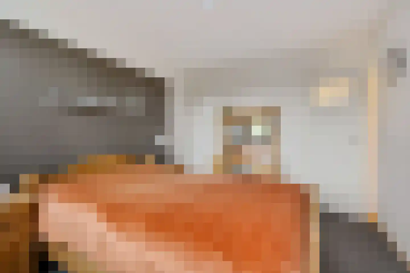 Dingspellaan 19 Emmen thumbnail 20