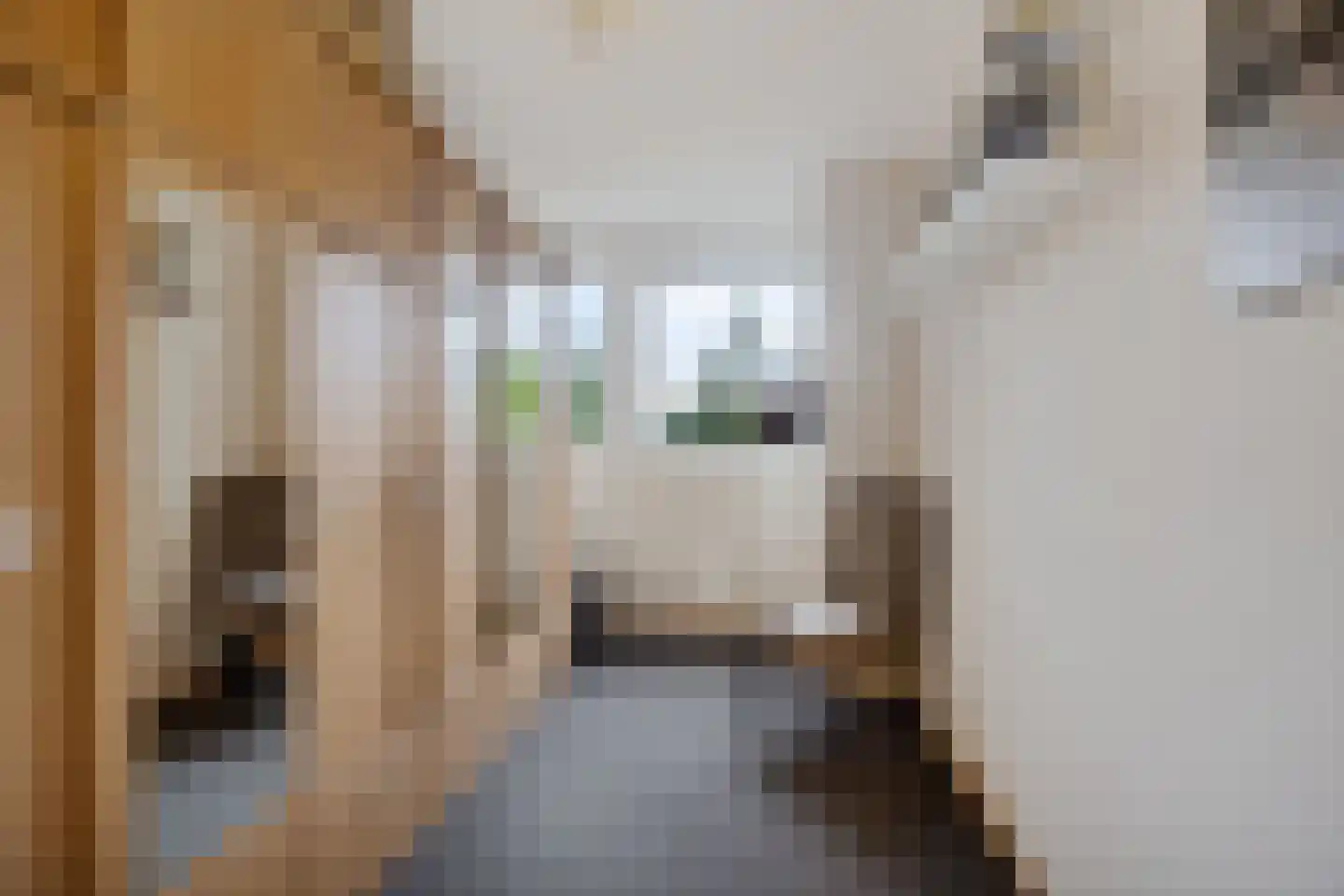 Dingspellaan 19 Emmen thumbnail 21