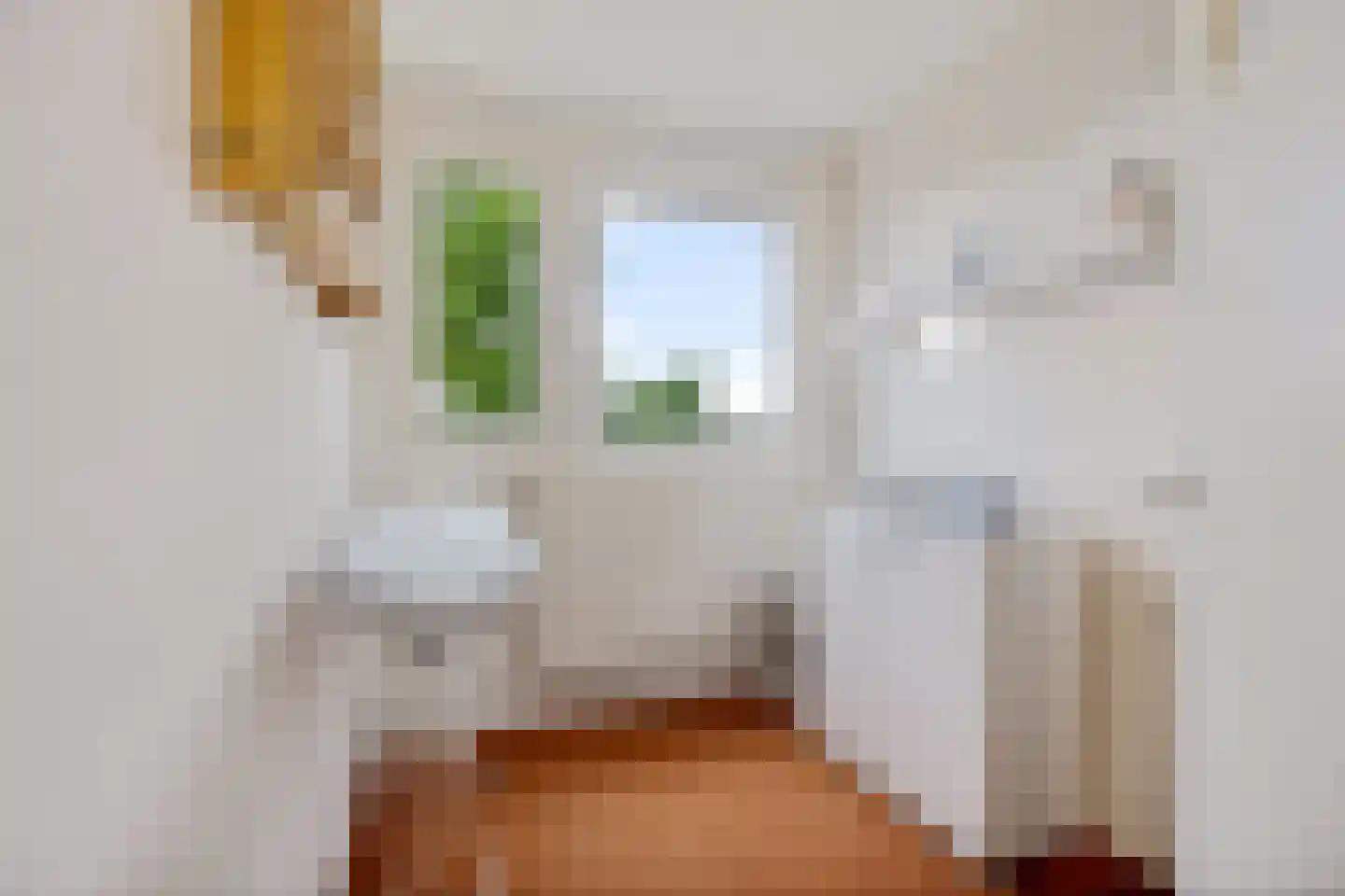 Dingspellaan 19 Emmen thumbnail 25