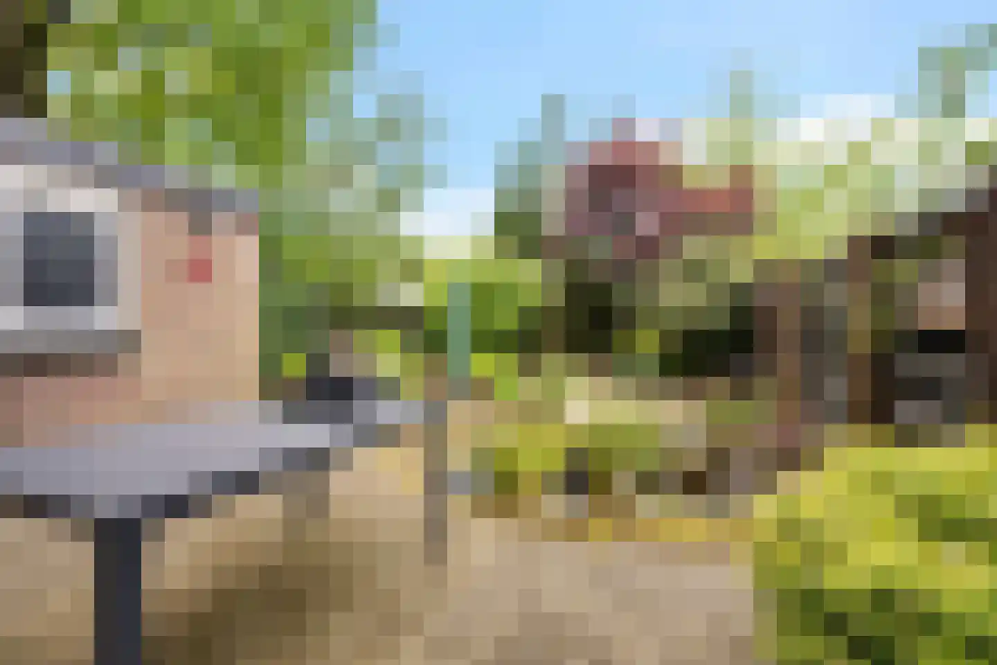 Dingspellaan 19 Emmen thumbnail 34