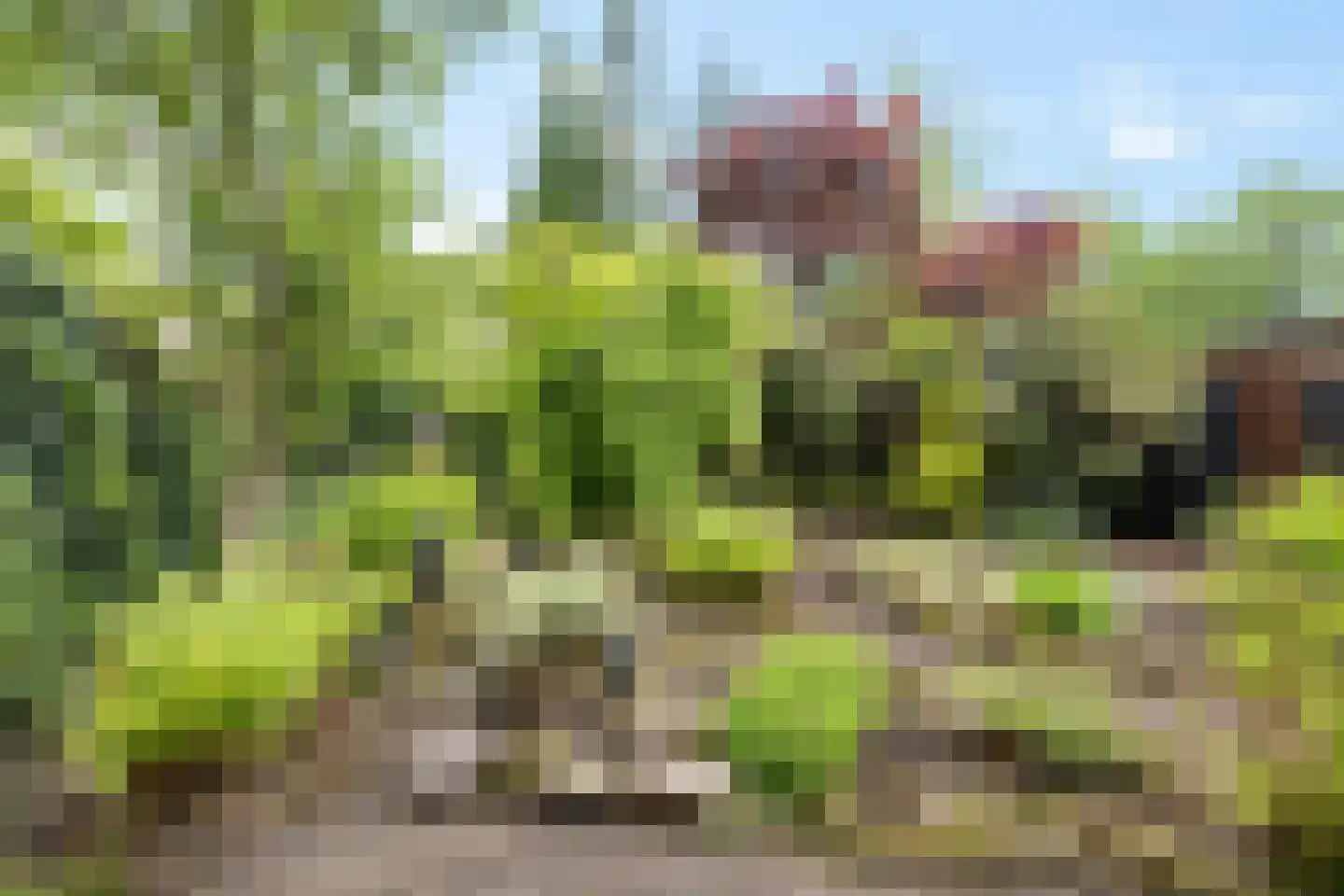 Dingspellaan 19 Emmen thumbnail 35