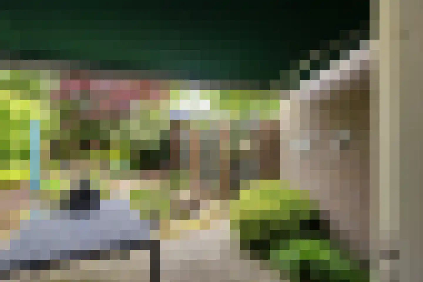 Dingspellaan 19 Emmen thumbnail 38
