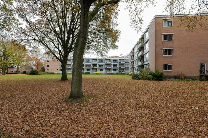 Dingspellaan 29 Zuidlaren thumbnail 36