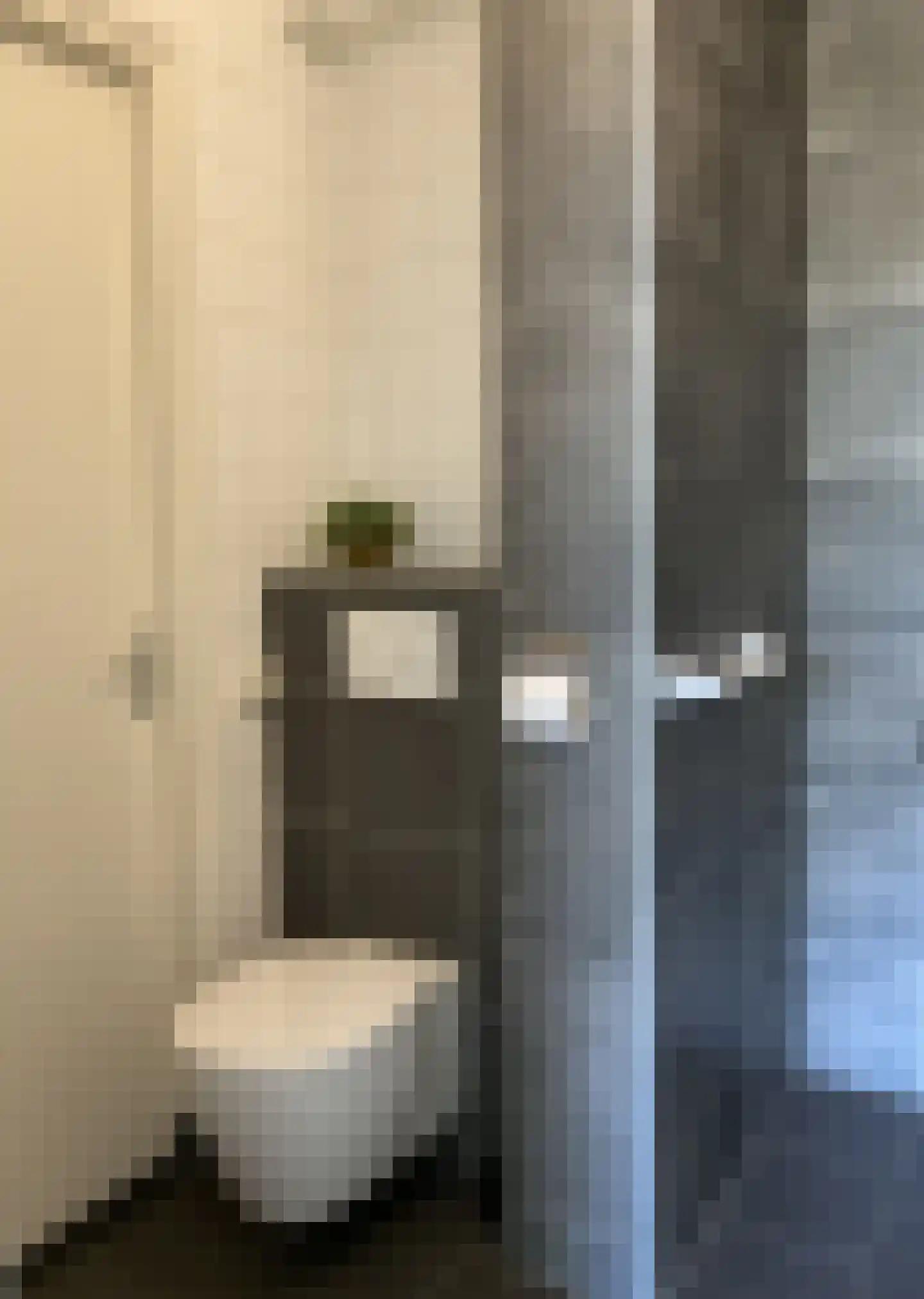 Dingspellaan 33 Zuidlaren thumbnail 20