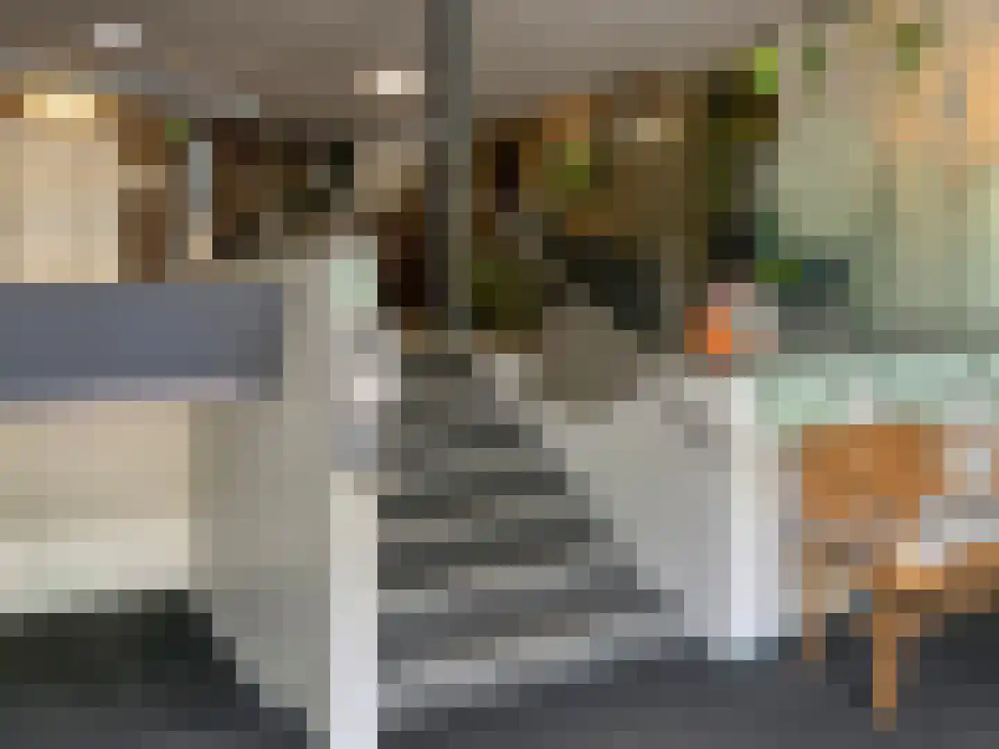 Dingspellaan 33 Zuidlaren thumbnail 23
