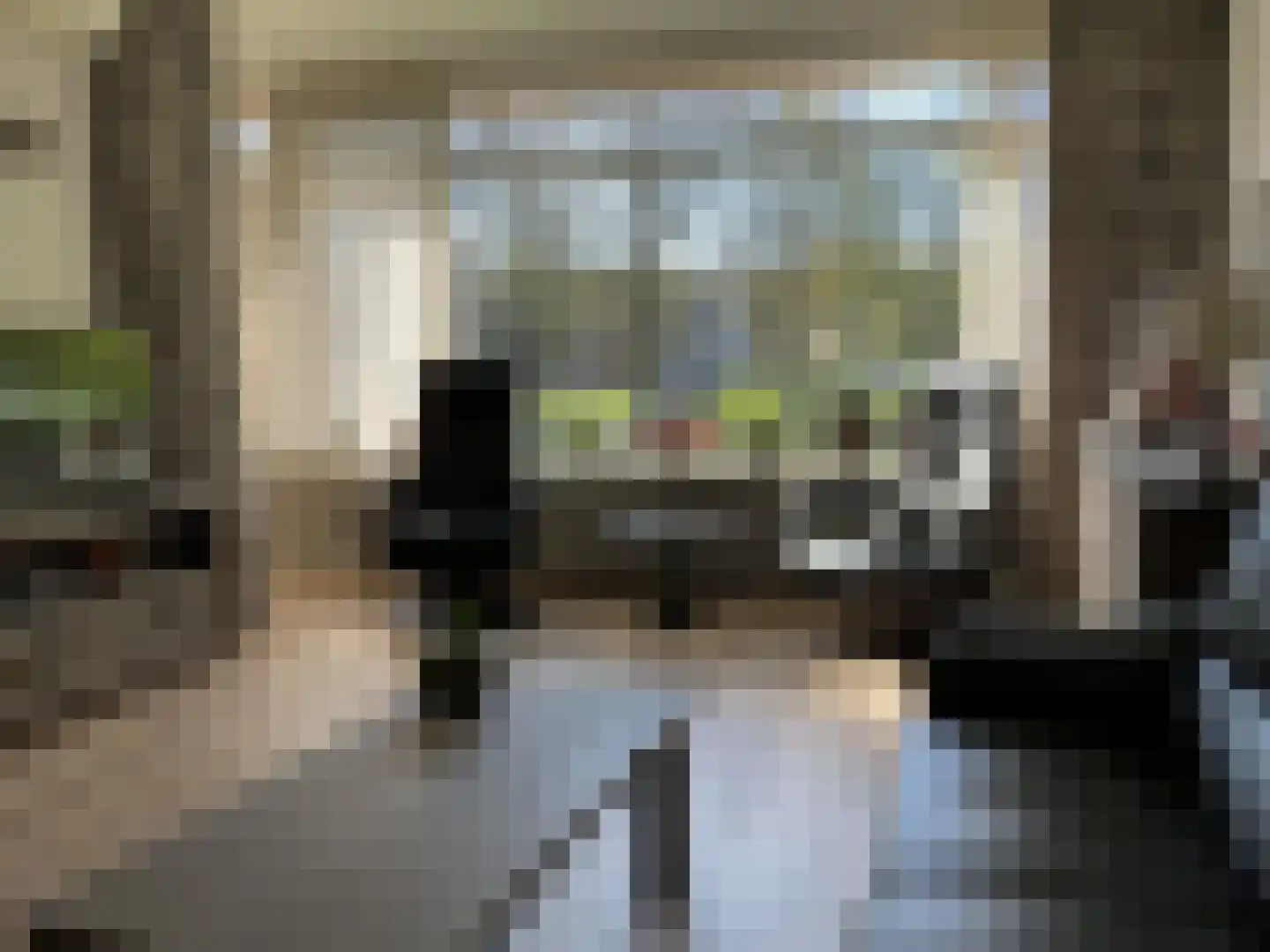 Dingspellaan 33 Zuidlaren thumbnail 4