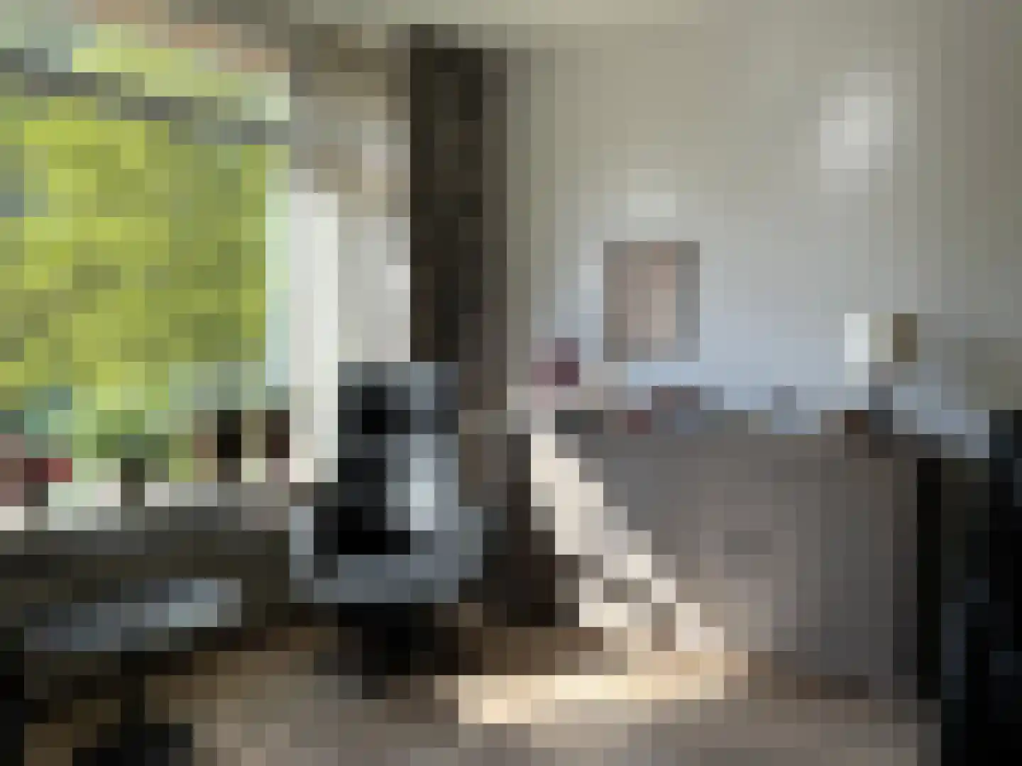 Dingspellaan 33 Zuidlaren thumbnail 7