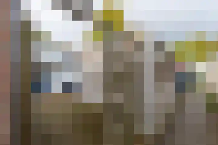 Dingspellaan 8 Emmen thumbnail 30