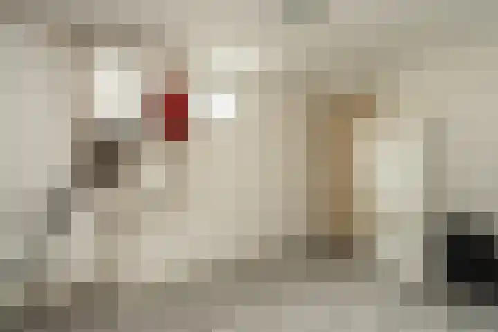 Dingspelstraat 1 Gieten thumbnail 15