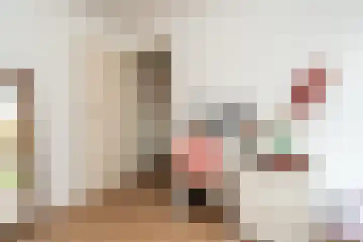 Dingspelstraat 1 Gieten thumbnail 22
