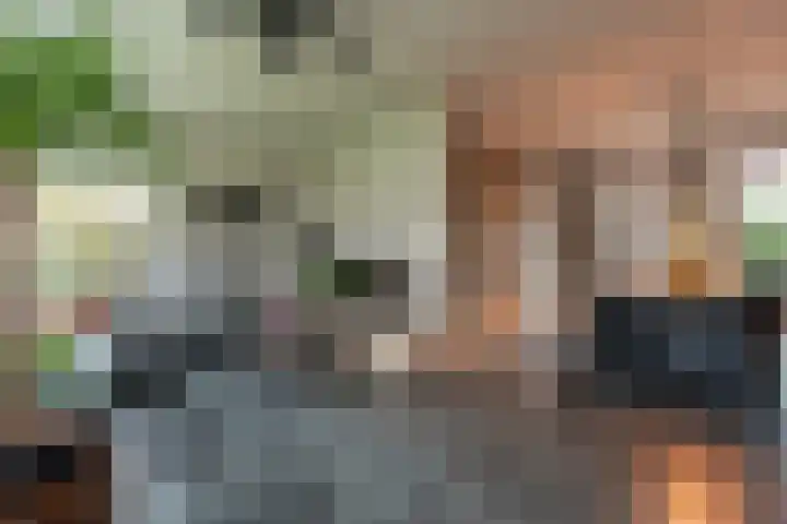 Dingspelstraat 1 Gieten thumbnail 5