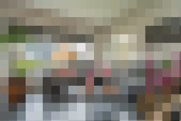 Dingspelstraat 1 Gieten thumbnail 6