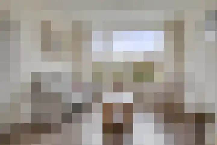 Dingspelstraat 27 Gieten thumbnail 7