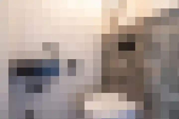 Dingspelstraat 6 Beilen thumbnail 21