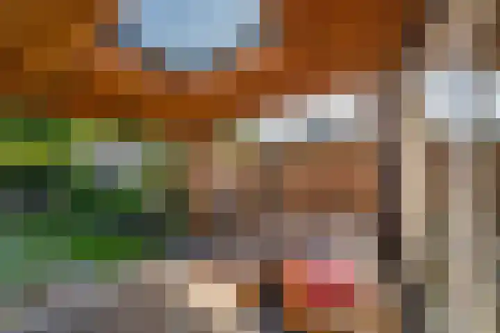 Dingspelstraat 6 Beilen thumbnail 35