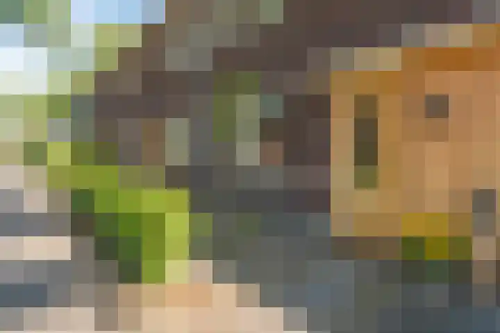 Dingspelstraat 6 Beilen thumbnail 4