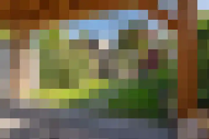 Dingspelstraat 6 Beilen thumbnail 41