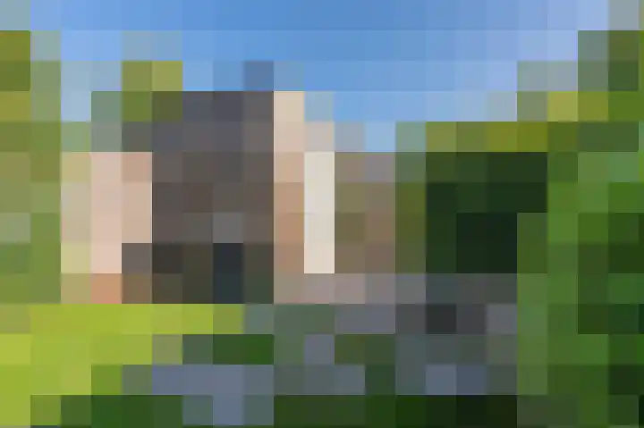 Dingspelstraat 6 Beilen thumbnail 45