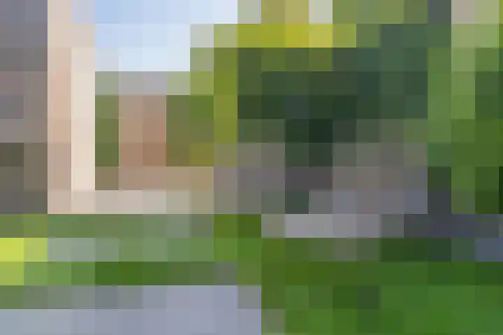 Dingspelstraat 6 Beilen thumbnail 46