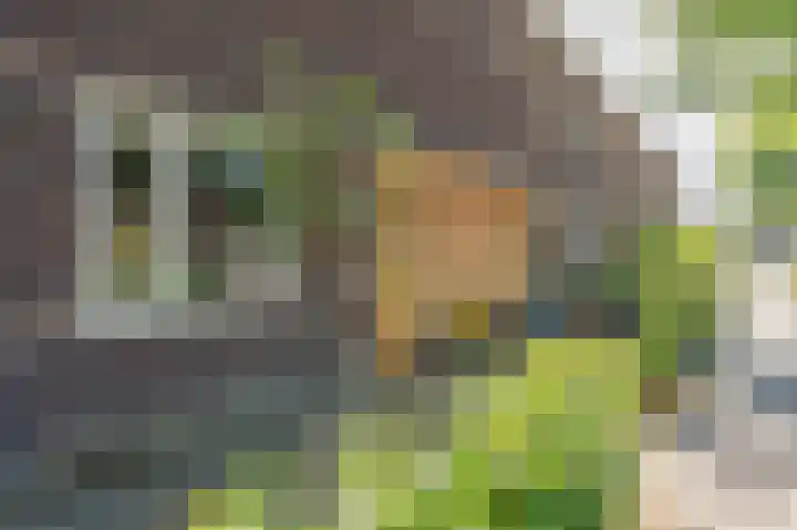 Dingspelstraat 6 Beilen thumbnail 5