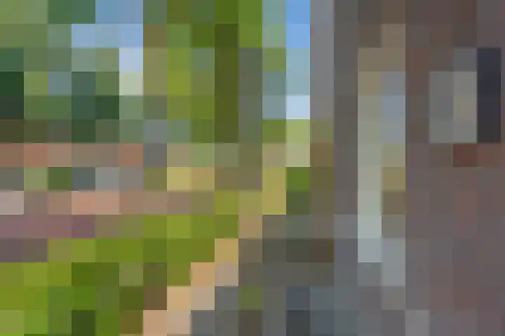 Dingspelstraat 6 Beilen thumbnail 6