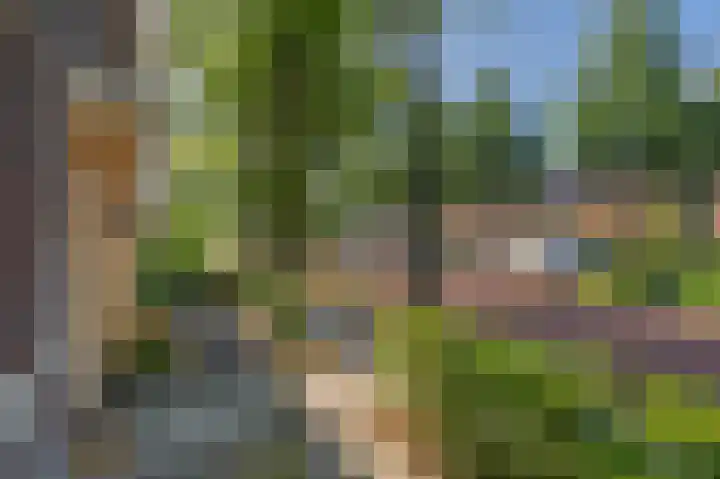 Dingspelstraat 6 Beilen thumbnail 7