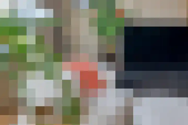 Dingspelstraat 8 Beilen thumbnail 12