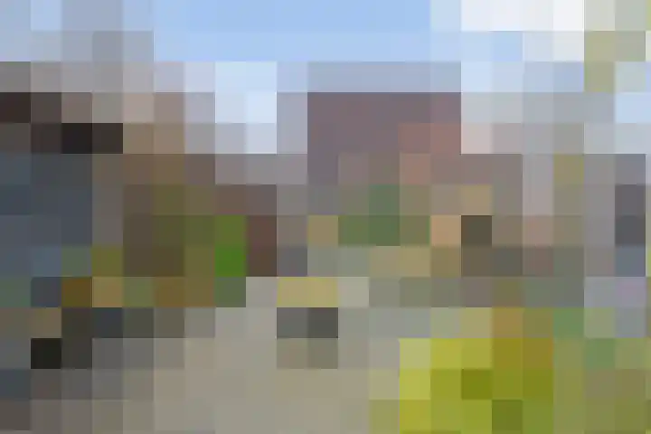 Dingspelstraat 8 Beilen thumbnail 36