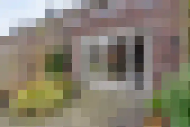 Dingspelstraat 8 Beilen thumbnail 38