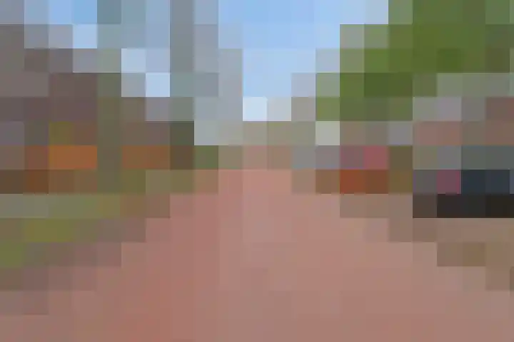 Dingspelstraat 8 Beilen thumbnail 40