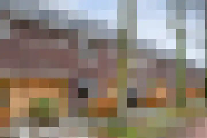 Dingspelstraat 8 Beilen thumbnail 5