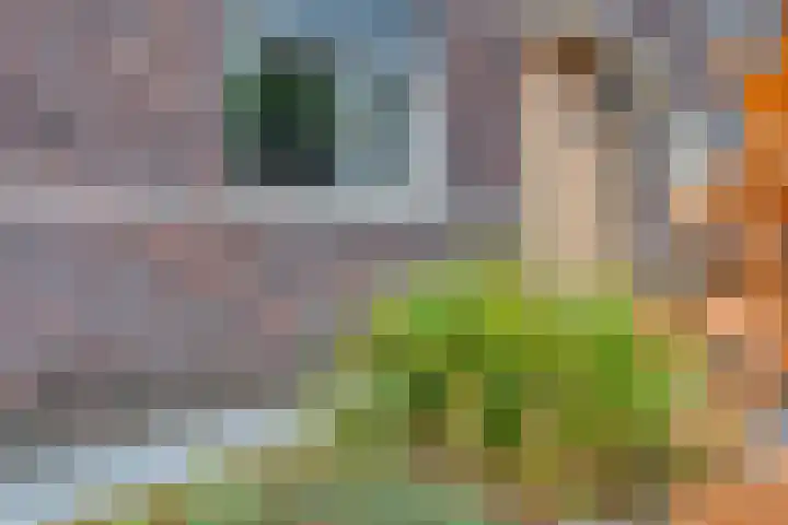 Dingspelstraat 8 Beilen thumbnail 6