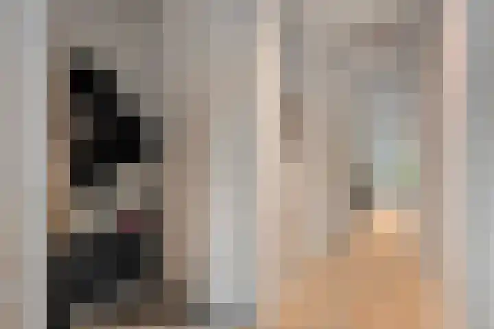 Dingspelstraat 8 Beilen thumbnail 9