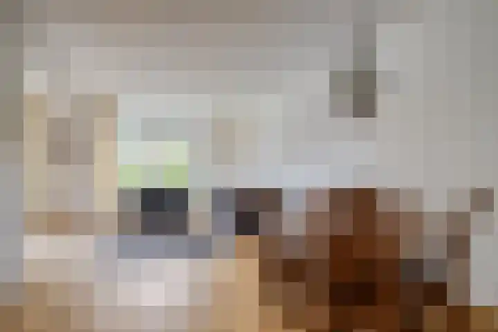 Dingspil 106 Vries thumbnail 14