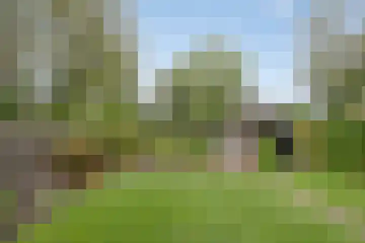 Dingspil 106 Vries thumbnail 26
