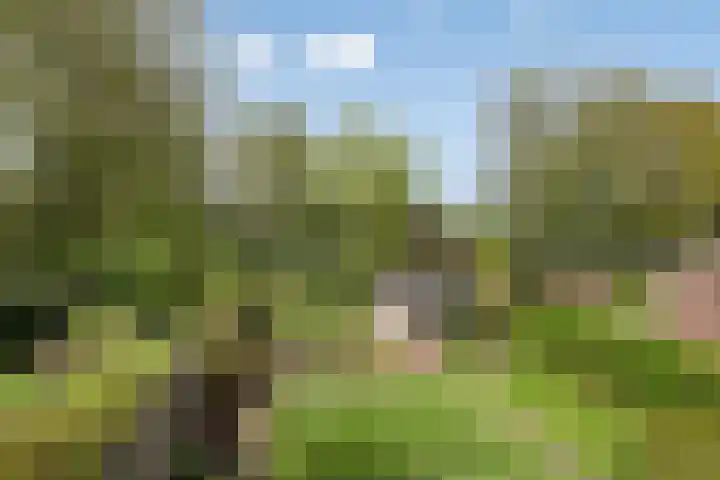 Dingspil 106 Vries thumbnail 27