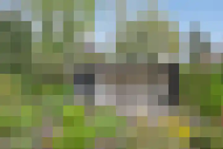 Dingspil 106 Vries thumbnail 28