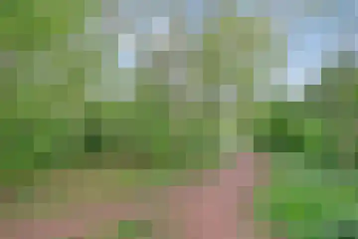 Dingspil 106 Vries thumbnail 29