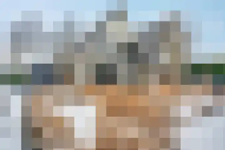 Dingspil 14 Roden thumbnail 11