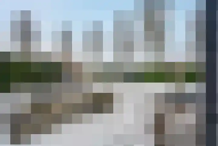 Dingspil 14 Roden thumbnail 12