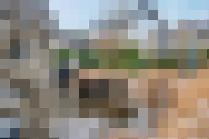 Dingspil 14 Roden thumbnail 13