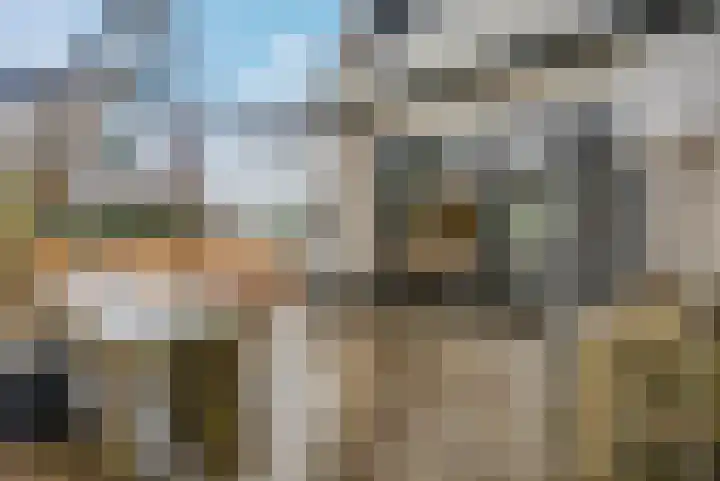 Dingspil 14 Roden thumbnail 14
