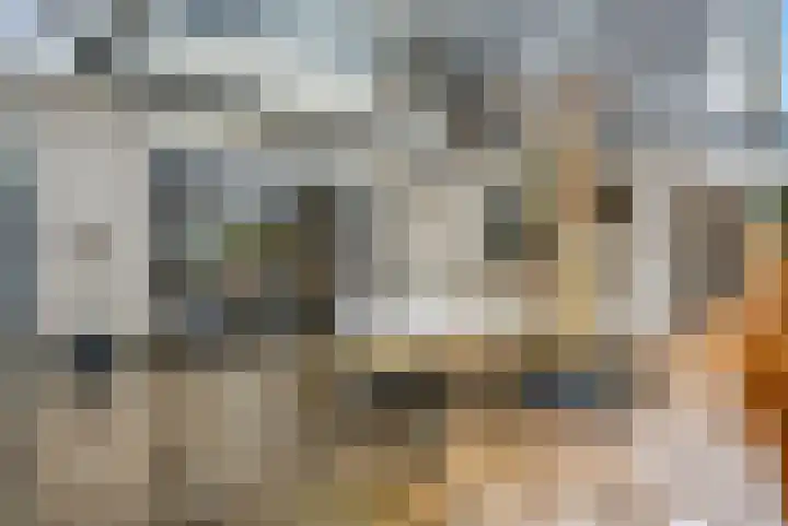Dingspil 14 Roden thumbnail 15