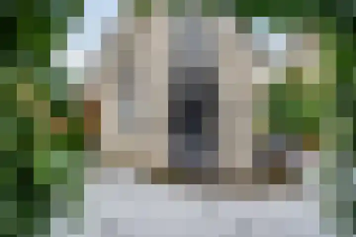 Dingspil 14 Roden thumbnail 17