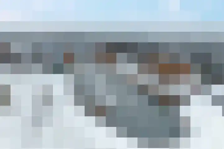 Dingspil 14 Roden thumbnail 23