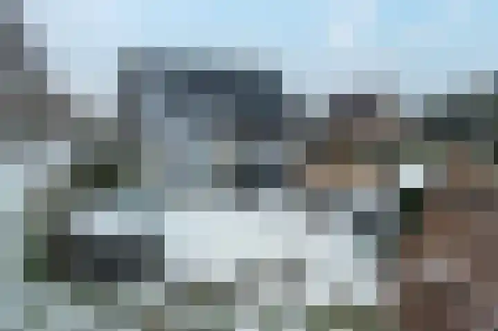Dingspil 14 Roden thumbnail 25
