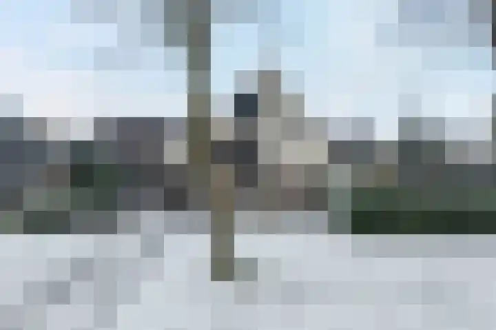 Dingspil 14 Roden thumbnail 28