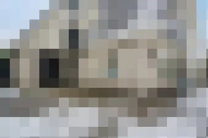 Dingspil 14 Roden thumbnail 29