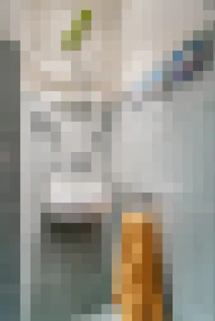 Dingspil 14 Roden thumbnail 33
