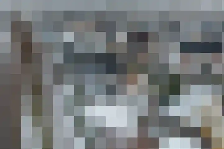 Dingspil 14 Roden thumbnail 4